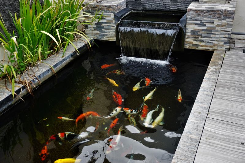 Koi Pond Construction