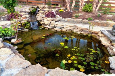 Pond Installation