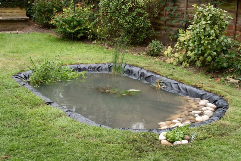Pond Installation