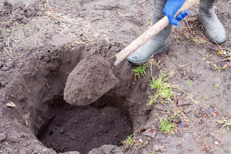 Pond Installation Service